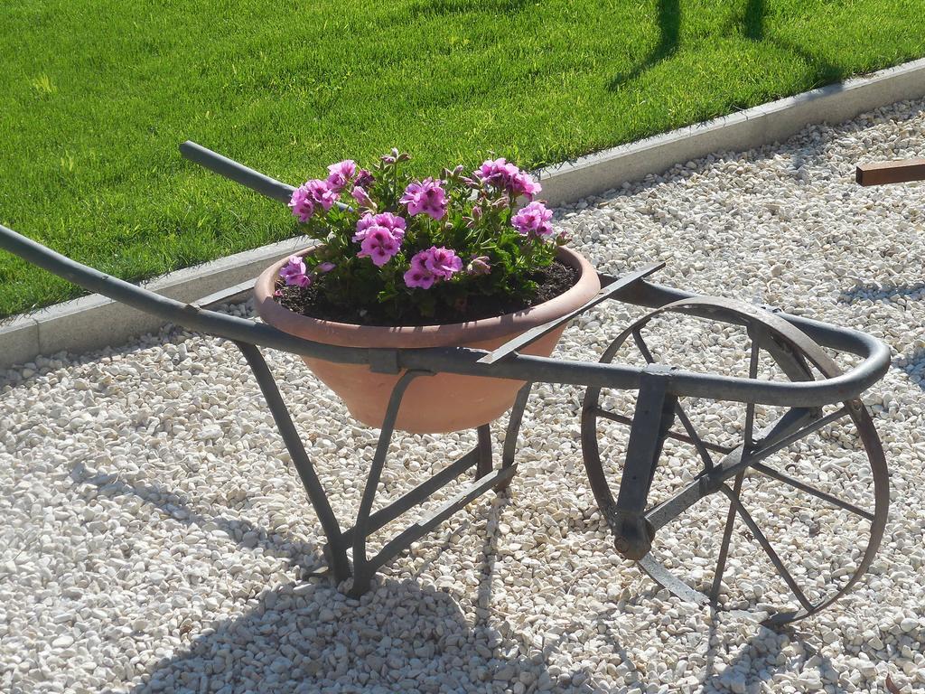 B&B La Casetta Dei Nonni Orvieto Exterior photo